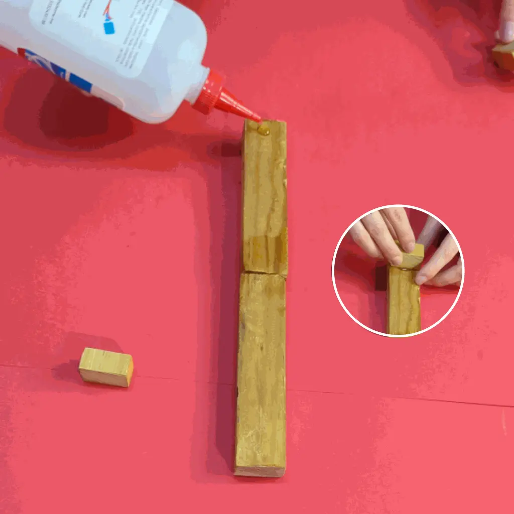 maqueta amazon-07.webp